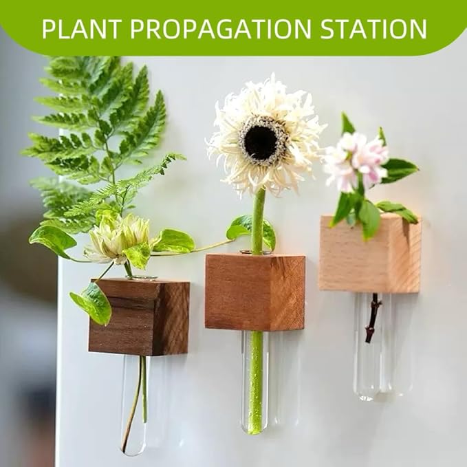 3PCS Mini Plant Propagation Station Set - for Window, Fridge, Wall, Office, Kitchen Decor, Home Plant Display,Inculd Glass Test Tube Vases Magnet and Adhesive Backed Wooden Holders