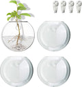 Wall Mount Plant Propagation Station - Clear Hydroponic Glass Vase, Oblate Planter for Indoor Plants | Perfect for Home, Office, Bathroom Decor | Gift for Plant Lovers (4)