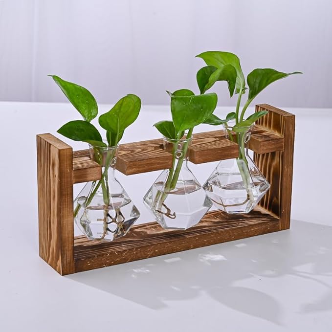 Wooden Base Glass Vase - Plant Holder & Propagation Station for Hydroponic Plants, Desktop Terrarium with Wooden Stand, Stylish Home & Office Décor, Great Gift for Plant Enthusiasts (YMFLX-3B)