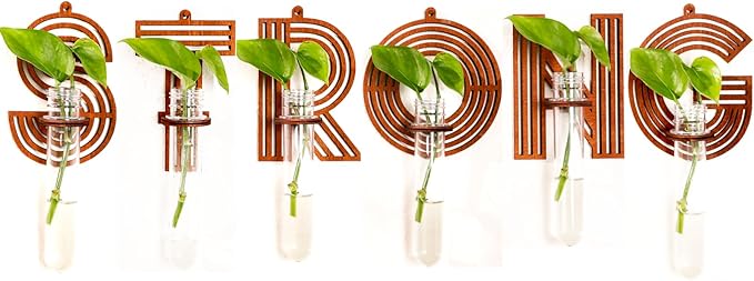 Strong Letter Wall Propagation Planters Test Tubes Wall Decor for Hanging Plants Clear Water Plant Vase Brown Wood Upletter Alphabet Boho Functional Art Set 6