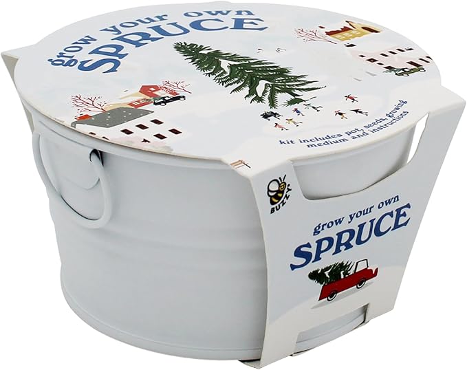 BUZZY Seeds Grow Your Own Christmas Tree Kit, Spruce Seed Starter Mini Basin in White with Coconut Husk Growing Medium, and Easy Instructions. DIY Gardening Gift, Stocking Stuffers for Nature Lovers