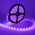 LightingWill Super Bright 60W LED UV Black Light Strip, Waterproof Blacklights 5M/16.4ft 3528SMD 300LED Ultraviolet Light for Party Night Fishing with 12V 5A Power Supply