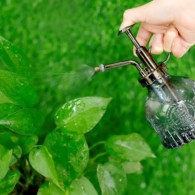 Hniuyun Glass Plant Mister Spray Bottle, 6.4 All Vintage Plant Spritzer Watering Can, Bronze Plastic Top Pump, Plant Mister Glass Watering Garden Tool (Grey)