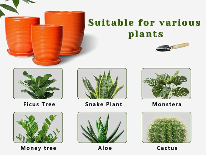 10 Inch Plant Pot, Ceramic Planters for Plants with Drainage and Saucer, Orange
