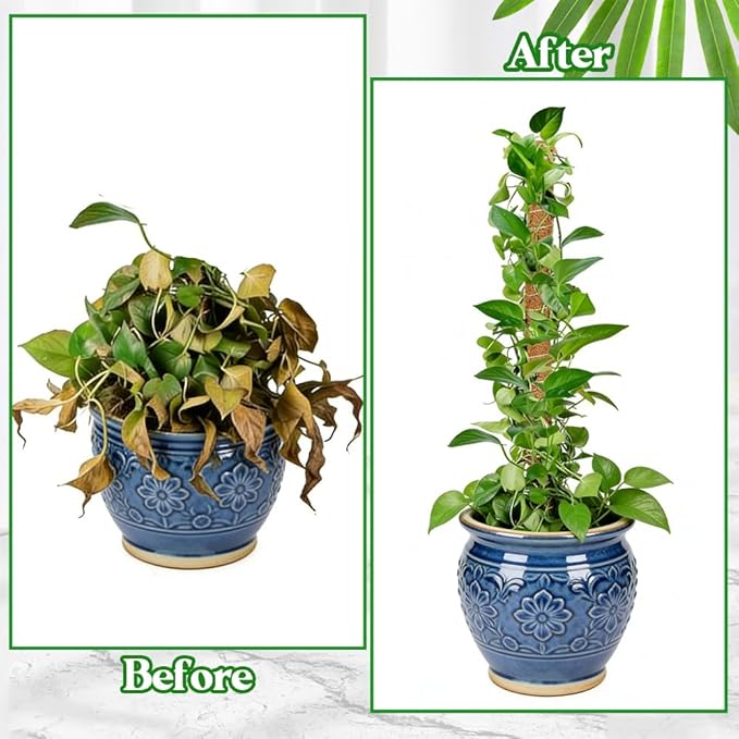 Moss Pole Monstera Plant Support 2 Pack 24 Inch Handmade Coco Coir Pole Plant Sticks Support Stakes Bendable Moss Pole for Monstera Plants Indoor for Potted Plants Philodendron to Grow Upwards