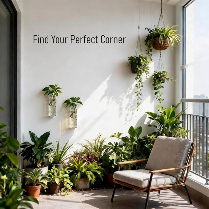 Wall Planters for Indoor Plants, 2 Pack Glass Wall Planters for Propagation, Hanging Terrarium Planters with Hooks for Hydroponic Plants, Flowers, Home Office Bathroom Decor