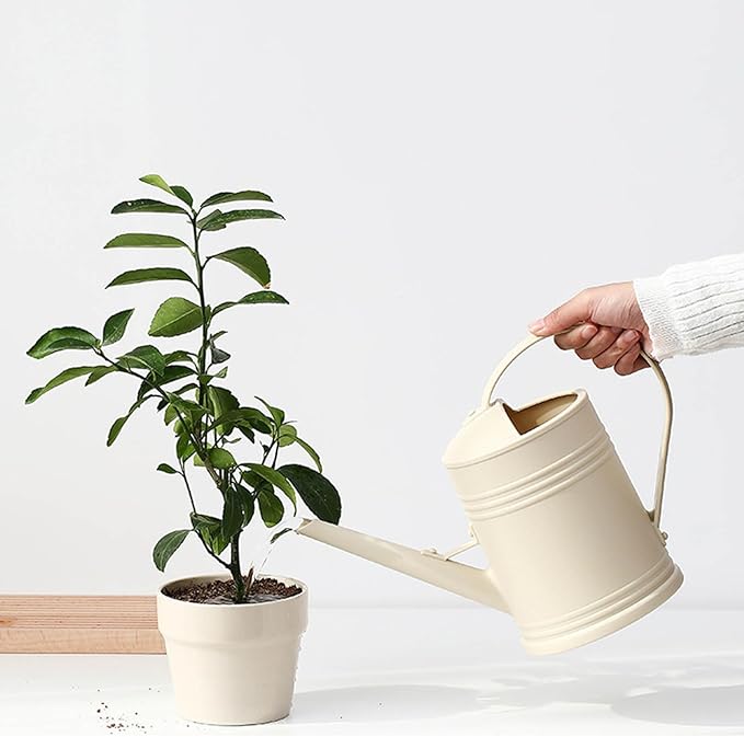 0.5 Gallon Plant Watering Can,Plastic Long Spout Watering Can with Detachable Sprinkler Head and Handles,Small Watering Can for House Succulent Bonsai Garden Flower Office Indoor Plants