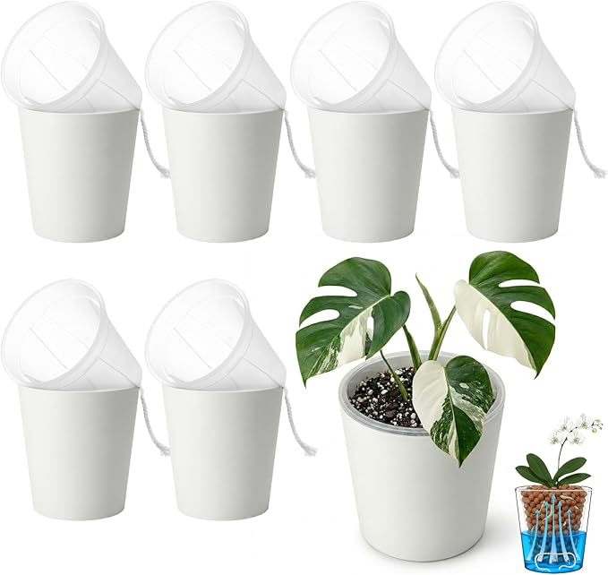 6 Pack of 6in Plastic Cachepot with 6 inch Clear nusery Pot - self Watering Indoor Planter with Drainage for Root Visibility,semi Hydro pots for repotting Monstera,Orchids,Aroid,White
