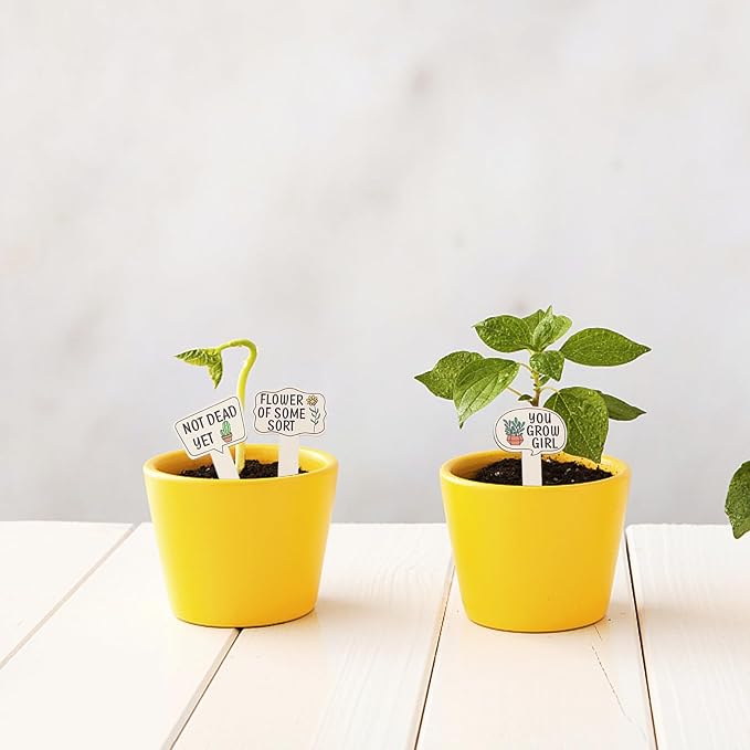 Lurrose 15PCS Wooden Garden Plant Markers Funny Printed Words Reusable Succulent and Vegetable Labels Indoor Outdoor Plant Tags Home Garden