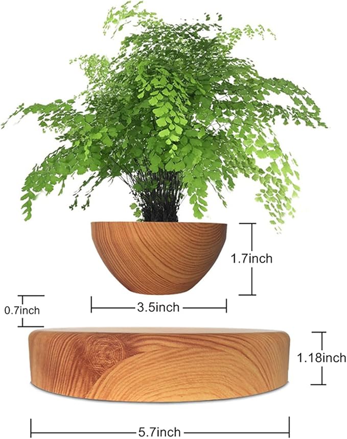 Floating Magnetic Levitating Flower Pot Bonsai Air Plant Pot Planter Potted for Home, Office & Desk Decor Gift