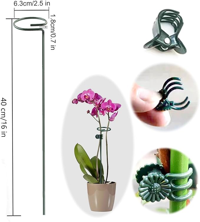 SUNYAY 10 pcs 16 inch Metal Single Stem Flower Plant Support Stakes and Rings for Amaryllis Orchid Lily Sunflower Rose Narcissus