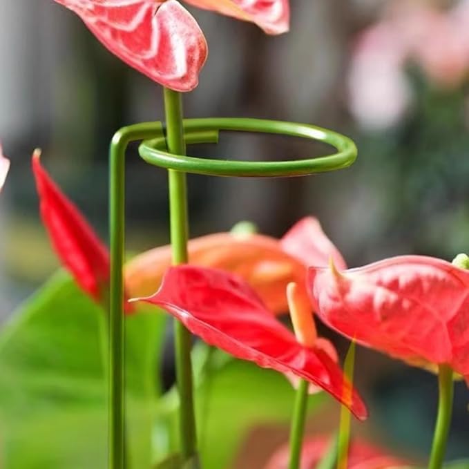 12 Pack Plant Support Stakes, 22 Inch Tall Metal Plant Stakes, Garden Plant Support Stake for Outdoor Indoor Plants, Flower Stake for Lilies, Dahlias, Sunflowers, Tomato, Amaryllis, Peony, Orchid