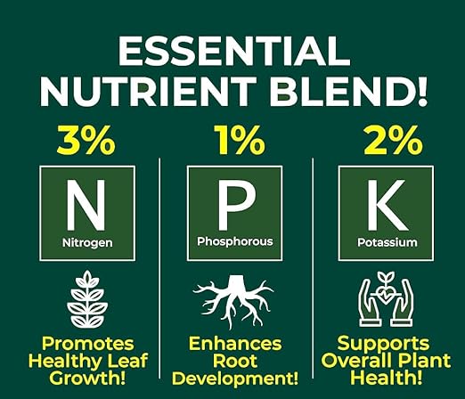 Gardenera Professional Spider Plant Spray Fertilizer Mist for Home Gardening | 3-1-2 Gentle Blend Mist for Healthy Leaves & Growth | Essential Nutrients for Spider Plants - 8oz