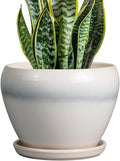 Ceramicfor Ceramic Planter - 8 Inch Plant Pot with Drainage Hole and Saucer, Glaze Round Flower Pot for Home Garden Patio Office, White