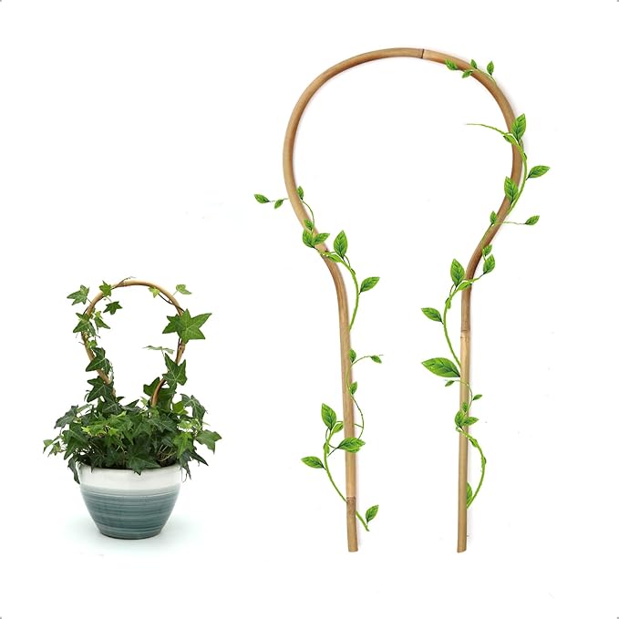 COLOtime 3Pack Bamboo Trellis 16 Inch Round Shaped Small Plant Trellis for Indoor Potted Plants Climbing Monstera Orchid Vine Hoya Houseplant