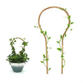 COLOtime 3Pack Bamboo Trellis 16 Inch Round Shaped Small Plant Trellis for Indoor Potted Plants Climbing Monstera Orchid Vine Hoya Houseplant