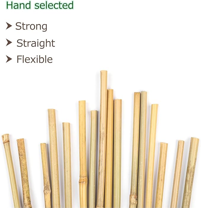 Cambaverd 40pcs Natural Bamboo Sticks for Indoor and Outdoor Plants, 16 Inch Plant Support Stakes for Tomato, Beans, Potted Plants and Vegetable