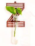 Wood Letter Wall Propagation Station Lightweight Decorative Plant Holder for Small Cuttings, Letter Z Removable Adhesive Wall Decor for Bedroom, Nursery, Office