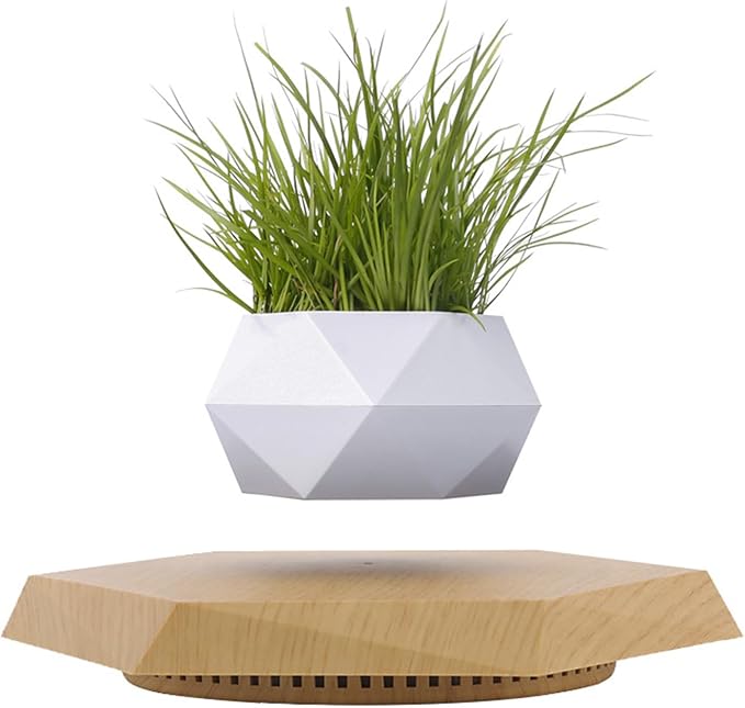 Levitating Plant Pot Air Bonsai & Air Plants Magnetic Floating Planter for Succulents Home Office Desk Decor