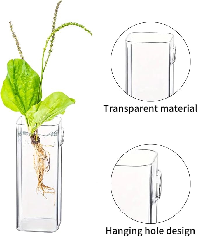 6 Pcs Glass Wall Mounted Planters, Hanging Glass Tubes Flower Vase, Wall Vase for Plants Indoor, Propagation Wall Planter Container for Hydroponics Plants, Garden Wedding Decor