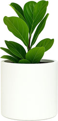 Fox & Fern Plant Pot, Large Plant Pots for Indoor & Outdoor, UV & Frost Resistant Plant Vase with Drainage Plug, Fiberstone, Large Indoor Pots for Plants & Flowers, House Indoor Plant Pot, Single Pot