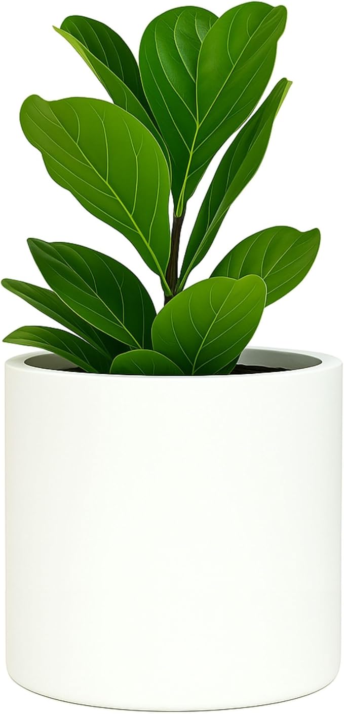 Fox & Fern Plant Pot, Large Plant Pots for Indoor & Outdoor, UV & Frost Resistant Plant Vase with Drainage Plug, Fiberstone, Large Indoor Pots for Plants & Flowers, House Indoor Plant Pot, Single Pot