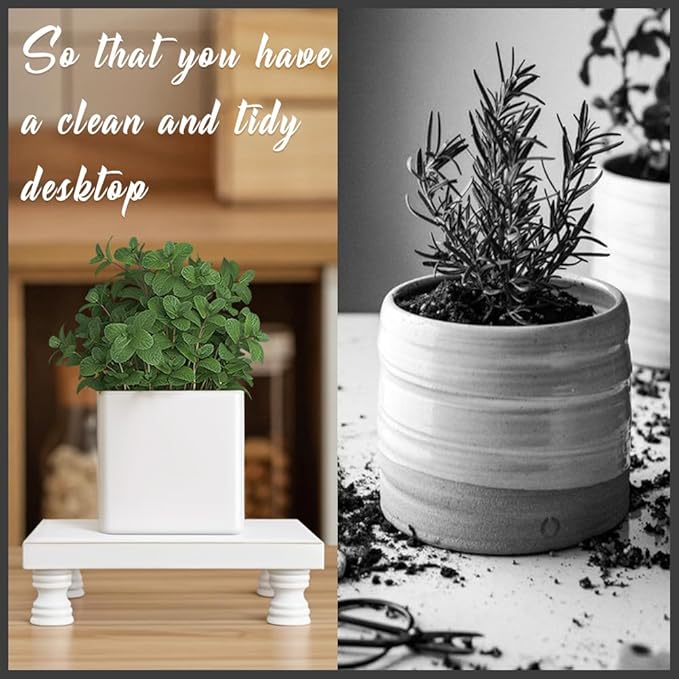 2 Pcs Wood Plant Stand Wooden Plant Stool Round Riser Display Stand Flower Pot Holder Low Plant Pot Flower Pedestal for Indoor Outdoor (White, 8.5"x5.7")