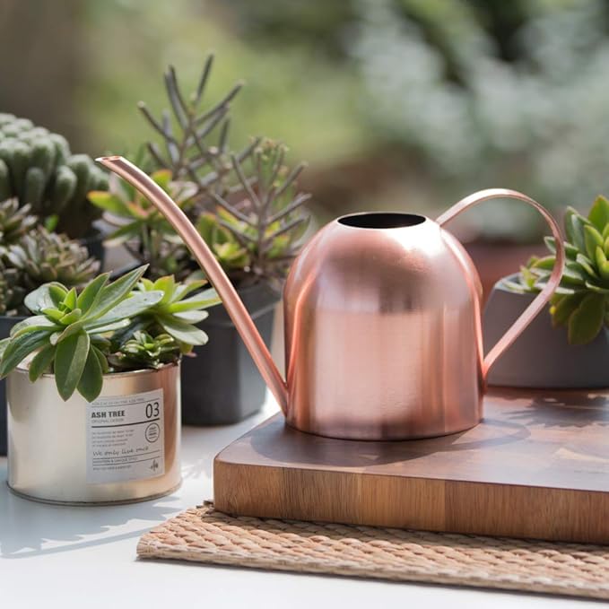 Stainless Steel Watering Can for Indoor Plants – Long Spout, Gentle & Even Watering, Precision Plant Water Can, Rose Gold 30 oz | E.Palace