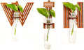 Win Letter Wall Propagation Planters Test Tubes Wall Decor for Hanging Plants Clear Water Plant Vase Brown Wood Upletter Alphabet Functional Art Boho Set of 3