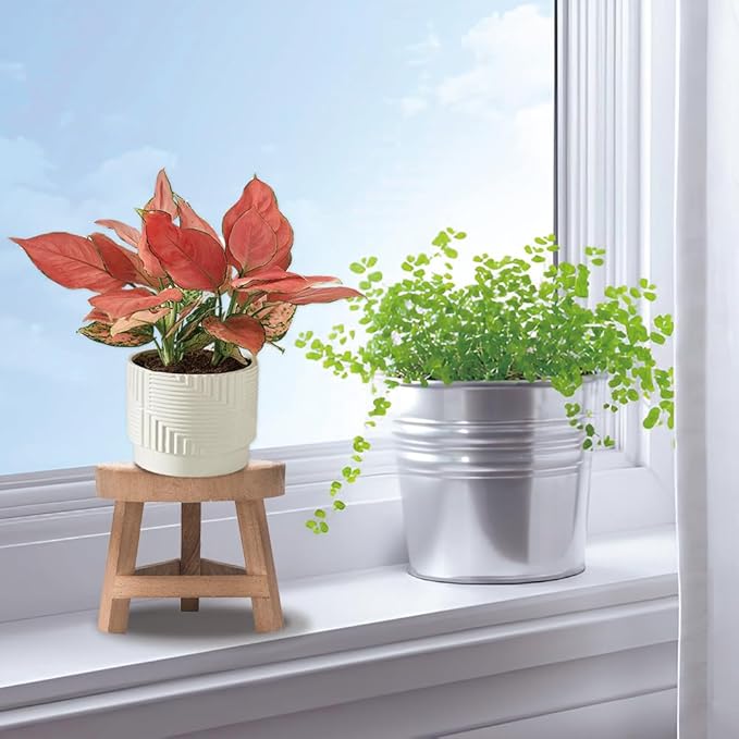 Small Plant Stand, 6.7x5.9in Planter Stands for Indoor Plants Wood Potted Rack Wooden Modern Minimalist Solid Acacia Shelf Freestanding Flower Pot Holder Living Room Decor