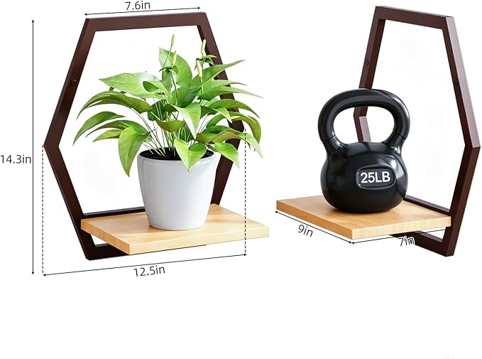 2 Pack Solid Wood & Heavy Duty Metal Wall Plant Stands,9 inch Natural Wood Shelf, Boho Arch Hanging Planter for Indoor 25 LB Load for Plants Coffee