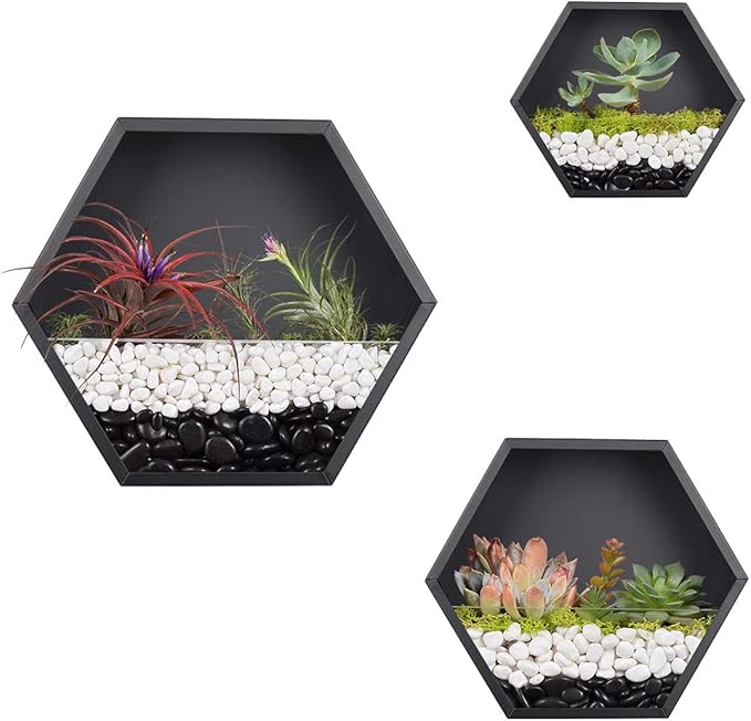 Hanging Hexagon Planter Wall-Mounted Flower Pot Hanging Basket Metal Vase Air Plant Holder Vintage Flower Pot Geometric Planter Succulent Cactus Container (S,Black)