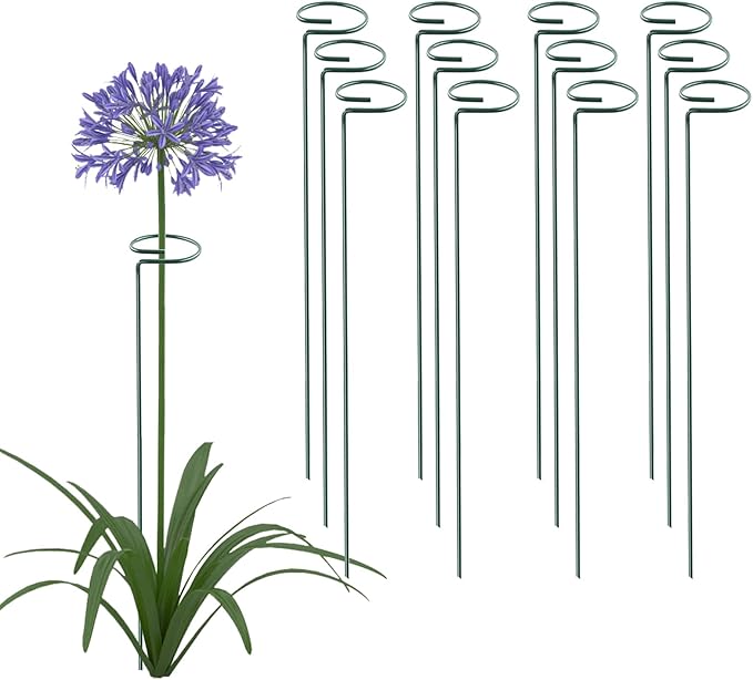 Thealyn 24 Inch 12 Packs Plant Support Stakes,Garden Single stemmed Plant Support Hoops, Plant Prop, for Flowers,Orchid, Tomatoes Peony Lily Rose (24 inch)