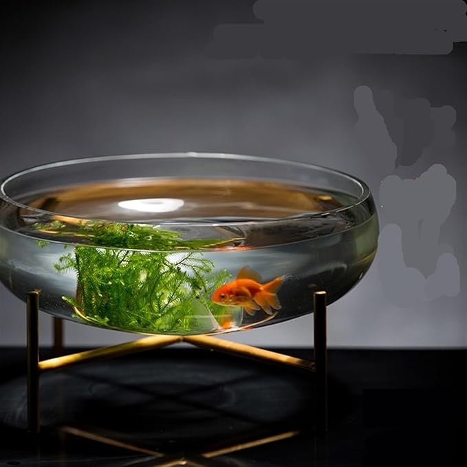 Decor Large Glass Fish Tank Wide Diameter Bowl-Shaped Fish Tank Transparent Turtle Tank Desktop Decoration Hydroponic Plant Container Planter Starter(Large)