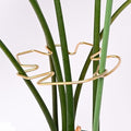 Yohsnor Monstera Plant Stem Support System - 5 Piece Set (5.5x4.7in) | Durable Plant Support Stakes for Climbing Plants & Fishbone Cactus | Ideal Leaf Stabilizer for Indoor Plants & Monstera Care