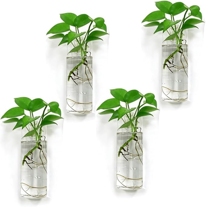 Wall Planters for Indoor Plants, 4 Pack Glass Wall Planters for Propagation, Hanging Terrarium Planters with Hooks for Hydroponic Plants, Flowers, Home Office Bathroom Decor