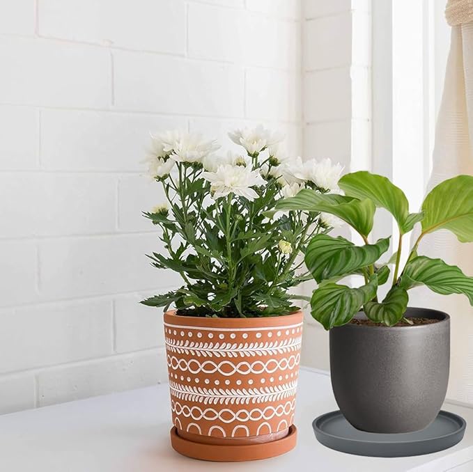 Yukfona Ceramic Plant Saucer Pot Tray 10 Inch, Planter Saucers 4 5 6 7 8 9 10 11 12 13 Inch for Indoors Outdoor, Durable Sturdy Flower Drainage drip Water Tray for Glazed Pots Base (10.7 Inch-Grey)