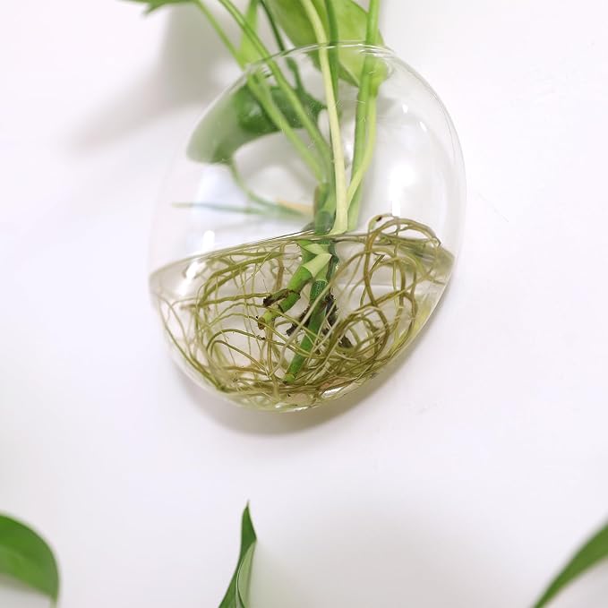Kingbuy Wall Hanging Glass Planter Propagation Station - 4 Pack Oblate Globe Wall-Mounted Vases for Indoor Hydroponic Air Plants Bathroom Living Room Office Decor Gift for Women, Mom, Plants Lovers
