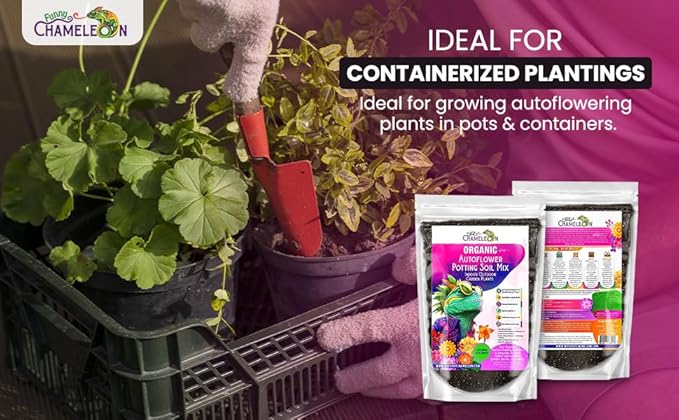Organic Autoflower Potting Soil Mix – Ready-to-Use Living Soil, No Fertilizers Needed – Balanced Nutrients, Light Texture, Excellent Drainage, Boosts Germination & Root Growth (4 QUARTS)