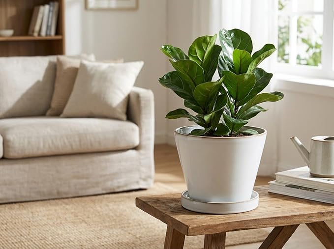 Glazed Ceramic Planter with Drainage Hole & Saucer for Indoor Tropical Plants, Reactive Glaze Plant Pot (White, 6")