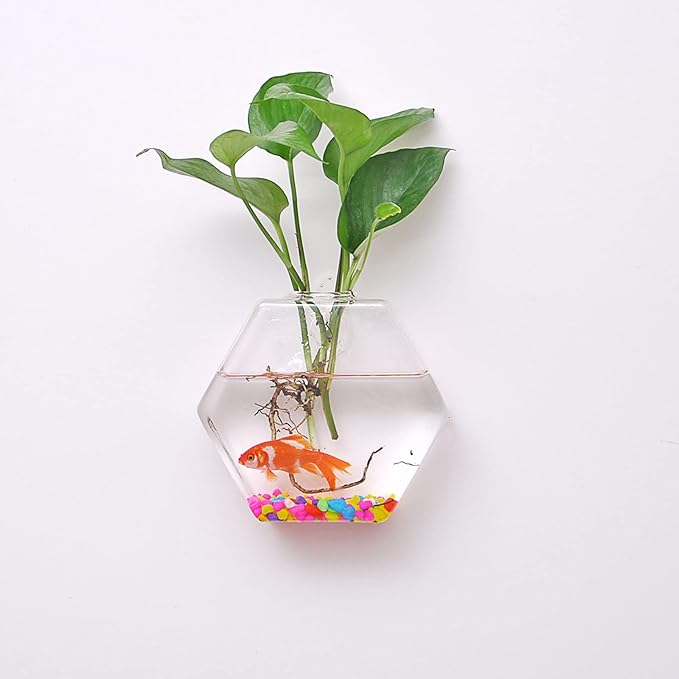 4 Pack Wall Hanging Plant Terrariums, Wall Mounted Hexagon Shape Glass Planter Flower Vase, Geometric Hydroponics Plant Propagator for Home Office Living Room Decor
