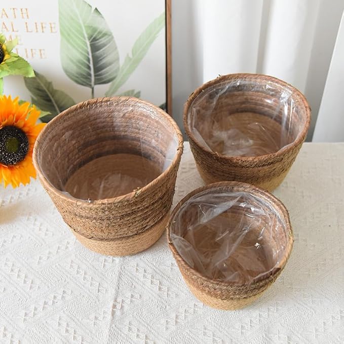 Handwoven Seagrass Planter Baskets - 3 Sizes Small Medium Large (Medium) Straw Plant Pot Covers for Indoor Plants Home Storage Rustic Boho Decor Organize Towels Toys Toiletries