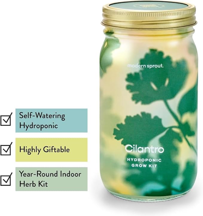 Modern Sprout Mason Garden Jar + Replant Kit - Self-Watering Hydroponics Growing System Kit w/Organic Herb Seeds - Jar Planter for Indoor Herb Garden - Seed Starter - Home Decor Gifting - Cilantro