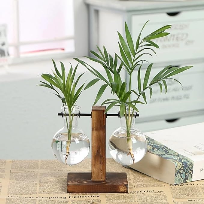 Hydroponic Plant Vases with Wooden Stand, Desktop Clear Glass Bulb Shape Vase Terrarium Planter Holder for Office Desk Wedding Decor, 2-Glass Beaker Bulbs