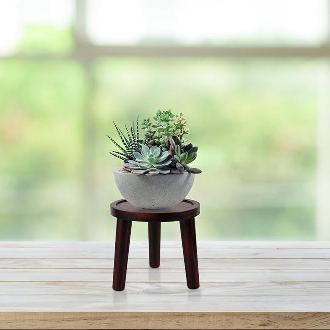 Milisten Wooden Plant Stand Indoor Potted Plant Riser Small Bonsai Display Holder 5.90X5.90X5.51 Inches Space-Saving Home Office Dorm Decor