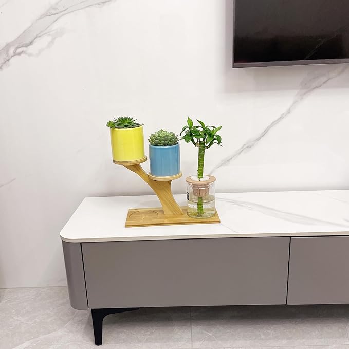 Window Sill Plant Shelf，Desk Desktop Bamboo Plant Stand， Table Succulent Plant Stand for Home, Office, Living Room, Bedroom Decoration(2set)