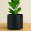 Fox & Fern 8 Inch Black Plant Pot with Drainage Plug — Premium Lightweight Fiberstone Matte Black Planter - 8 Inch Pots for Plants - for Indoor & Outdoor Use - Weather Resistant & UV Resistant