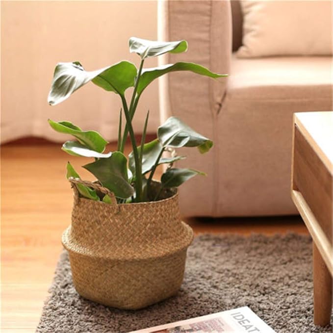 Woven Seagrass Belly Baskets with Handles for Planter Storage Flower Pot Cover Organizer&Laundry,Picnic Fruit&Grocery Baskets,Foldable Handmade Wicker Rattan Basket Hanging Decorative Baskets
