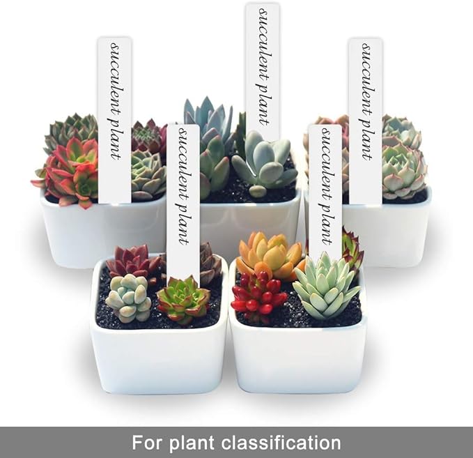 SumDirect Plastic Waterproof Plant Tags, Double Sided Write Markers Nursery Garden Labels Nursery Garden Pot Marker Tree Stake Tags (6 Inch-500)