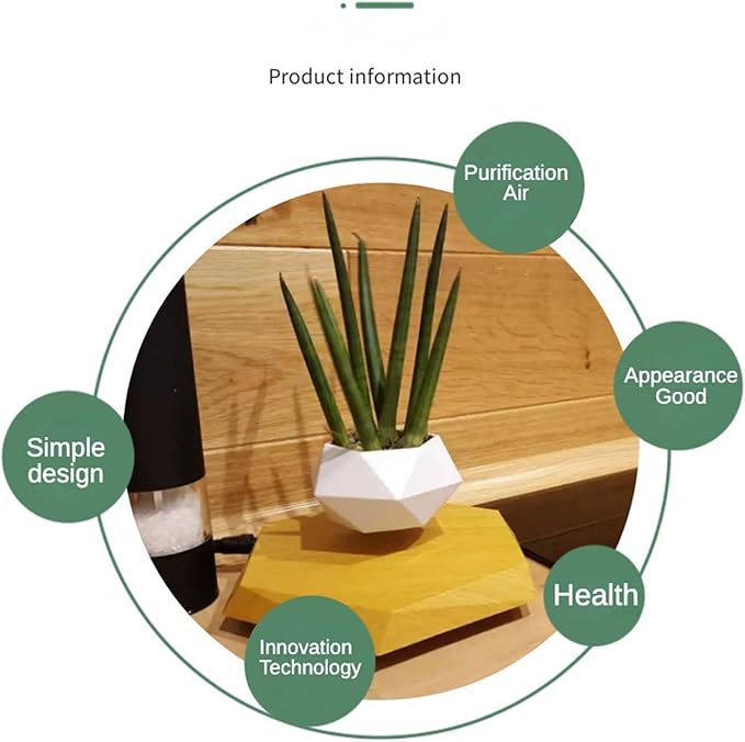 Levitating Plant Pot Air Bonsai & Air Plants Magnetic Floating Planter for Succulents Home Office Desk Decor
